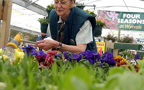 Garden Centre